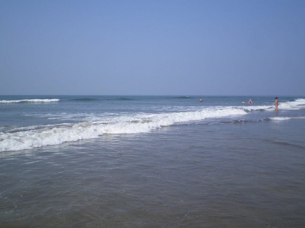 ГОА 2010 081.jpg